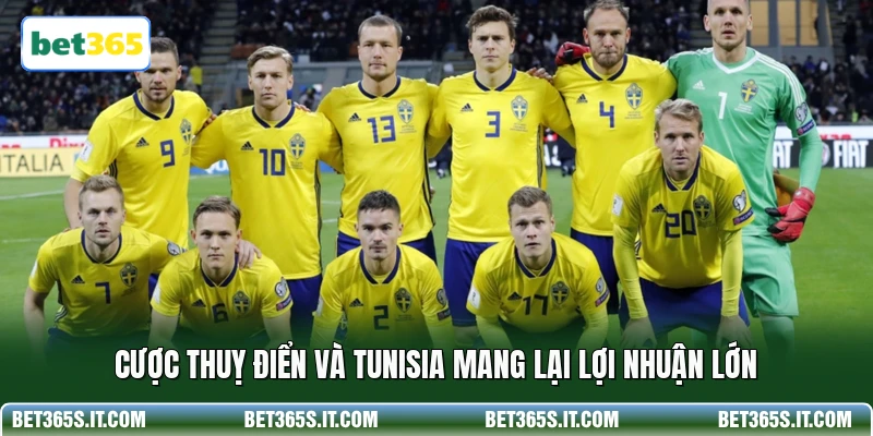 Cược Thuỵ Điển và Tunisia mang lại lợi nhuận lớn