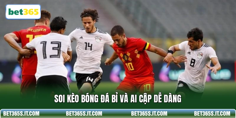 Soi kèo bóng đá Bỉ và Ai Cập dễ dàng