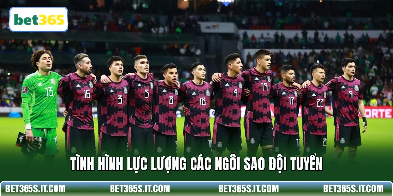 Tình hình lực lượng các ngôi sao đội tuyển