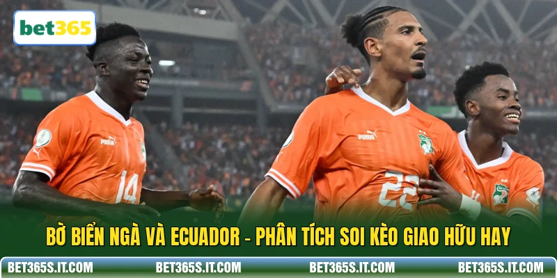 Bờ Biển Ngà Và Ecuador - Phân Tích Soi Kèo Giao Hữu Hay